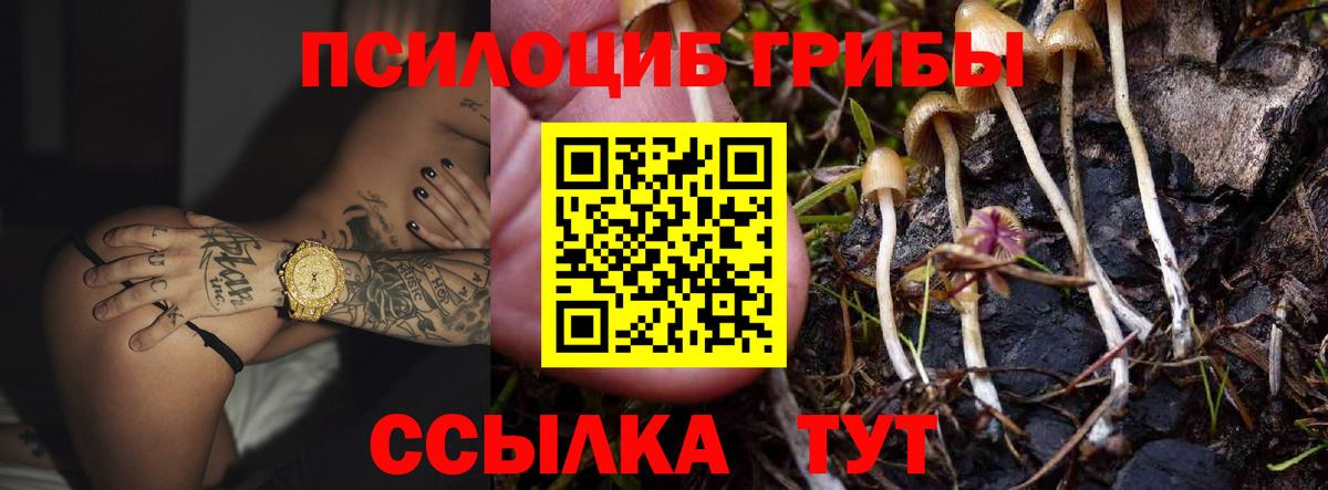 Галлюциногенные грибы прущие грибы  Вход с VPN  Бугуруслан 